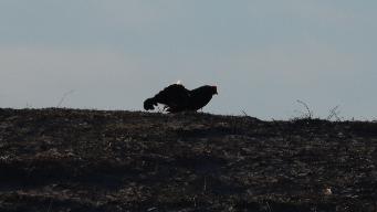 IMG_8871.jpg