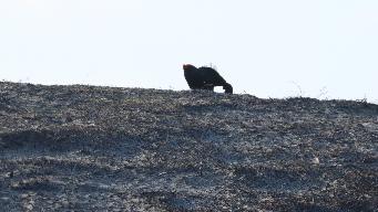 IMG_8878.jpg
