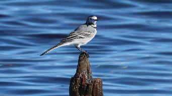 IMG_4054.jpg