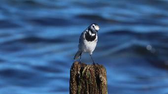 IMG_4063.jpg