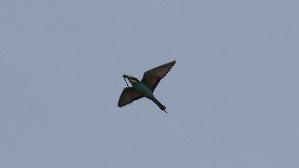 IMG_2024.jpg