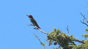 IMG_2202.jpg
