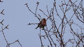 IMG_8542.jpg
