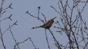 IMG_8543.jpg