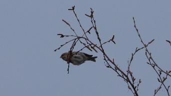 IMG_8552.jpg