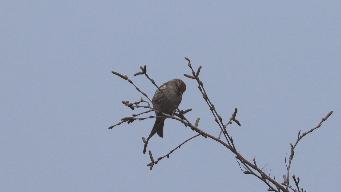 IMG_8557.jpg