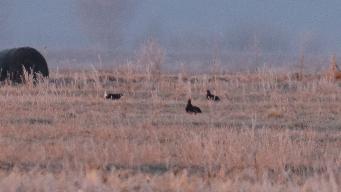 IMG_8828.jpg