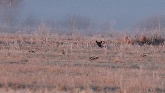 IMG_8847.jpg