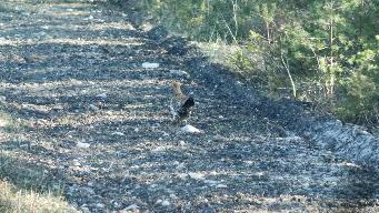 IMG_8895.jpg