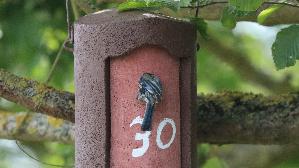 IMG_9019.jpg