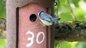 IMG_9033.jpg