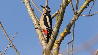 IMG_1116.jpg