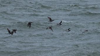 IMG_8148.jpg