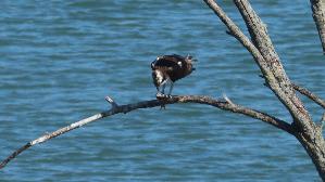IMG_2754.jpg