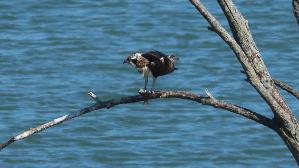 IMG_2755.jpg