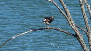 IMG_2834.jpg