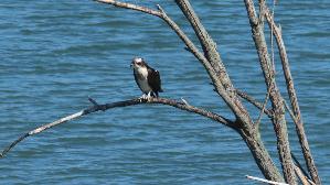 IMG_2856.jpg