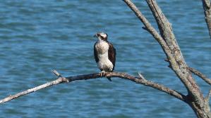 IMG_2940.jpg