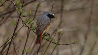 IMG_4943.jpg