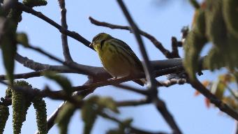 IMG_7792.jpg