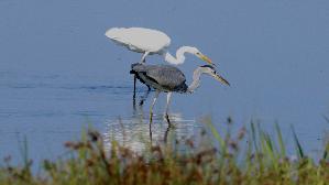 IMG_0811.jpg