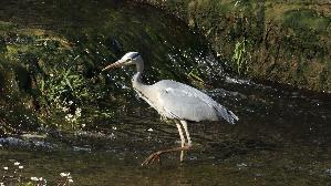 IMG_2809.jpg