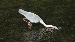 IMG_2865.jpg