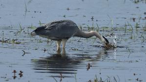 IMG_7839.jpg