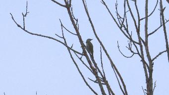 IMG_8282.jpg