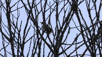 IMG_8312.jpg