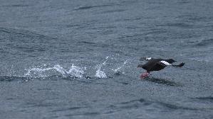 IMG_0032.jpg