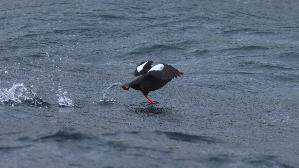 IMG_0033.jpg