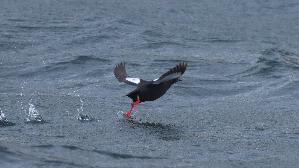 IMG_0034.jpg