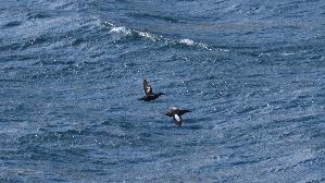 IMG_9623.jpg
