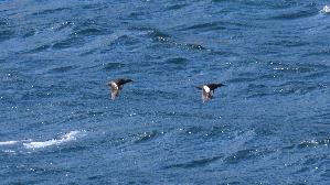 IMG_9625.jpg