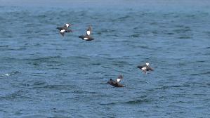 IMG_9661.jpg