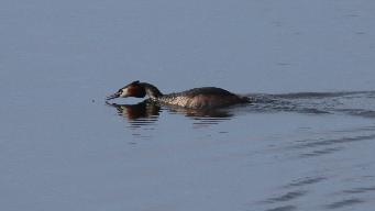 IMG_7594.jpg