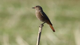 IMG_4353.jpg