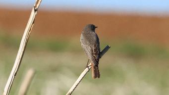 IMG_4357.jpg