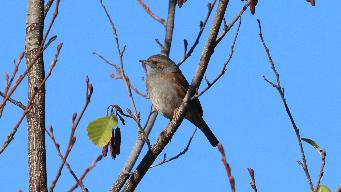 IMG_4699.jpg