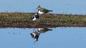 IMG_3313.jpg
