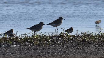 IMG_6958.jpg