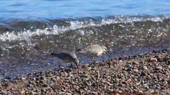 IMG_4077.jpg