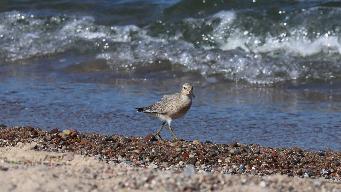 IMG_4211.jpg