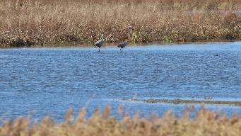 IMG_7182.jpg