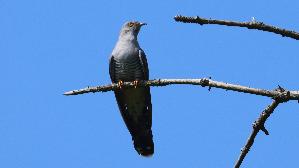 IMG_9100.jpg
