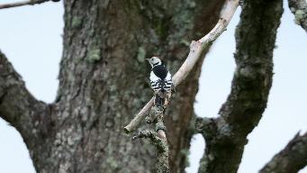 IMG_6869.jpg