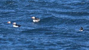 IMG_9745.jpg