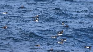 IMG_9855.jpg
