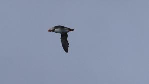 IMG_9952.jpg